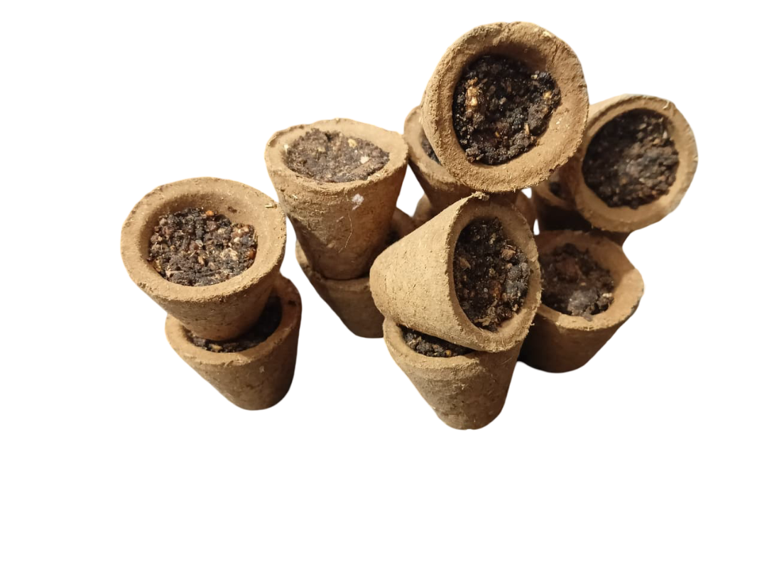Premium Sambrani Cups